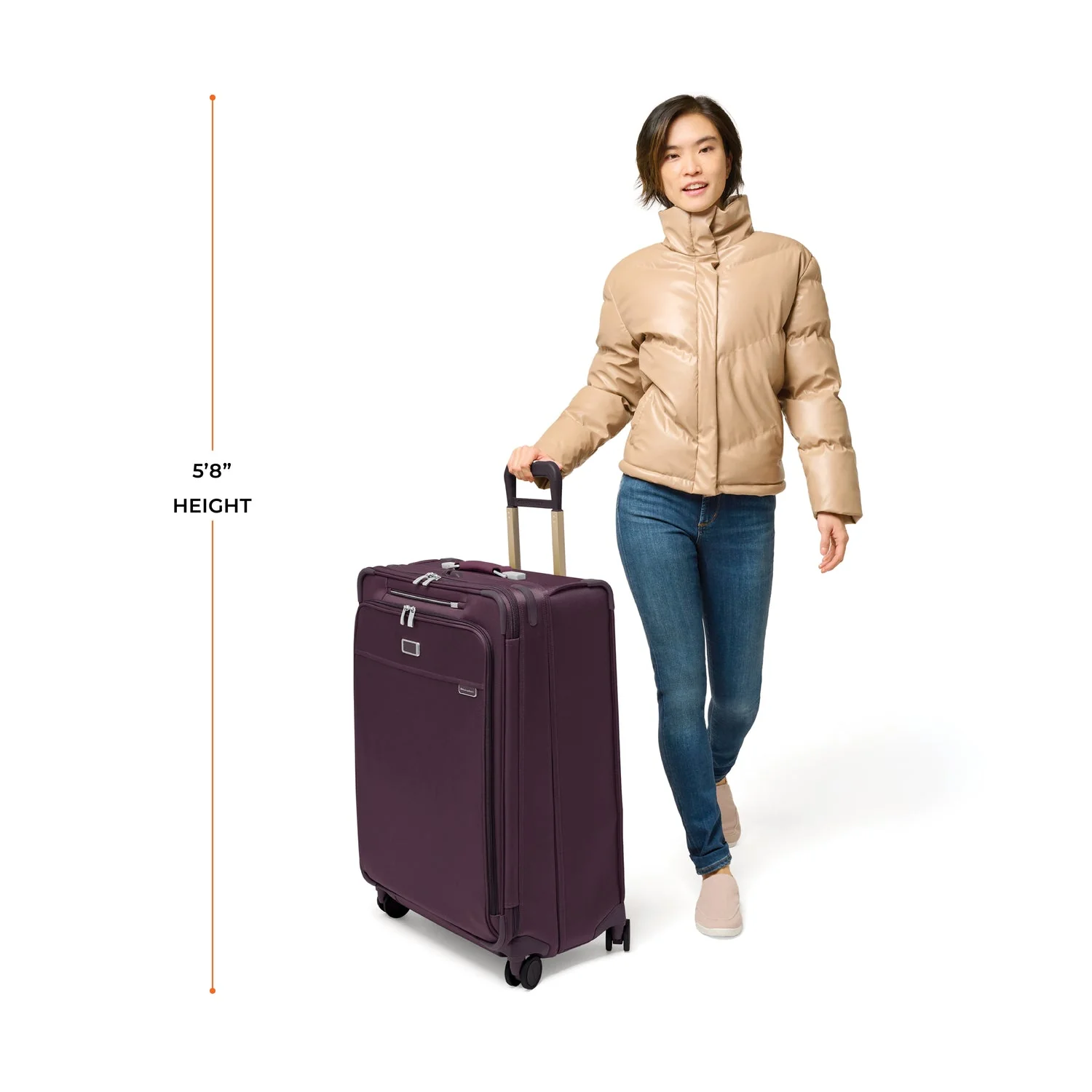Large Expandable Spinner - Image 71